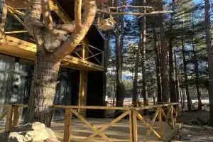 Стильный коттедж в сосновом бору с видом на горы