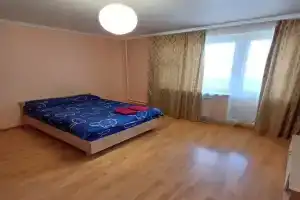 1-комнатная квартира, Андреевка