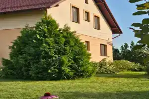 Гостевой дом «Лесная Паулинка»