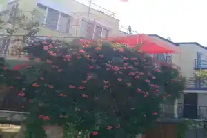 VIP коттедж у моря, Николаевка