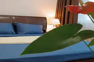 Уютная квартира рядом с Академией МЧС, Иваново