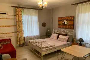 Уютная студия в центре Светлогорска