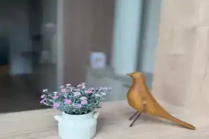 Квартира в историческом месте возле Капеллы Святого Адальберта