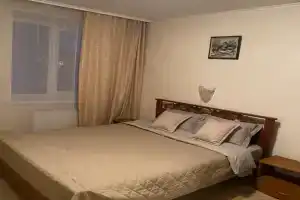 2-комнатная квартира с видом на Спасо-Евфимиев монастырь