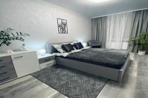Seven Grey, Калининград
