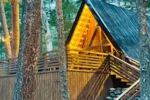 The Nest Гнездышко
