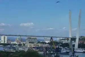 Look на залив и Золотой мост, между двух ТЦ, до центра и моря 10 минут, Владивосток