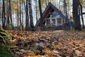 Домик в лесу с баней и чаном, A-frame Forest story