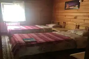 Комната с видом на березовый лес, Ая