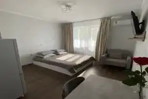 Студия со всеми удобствами, Шатура