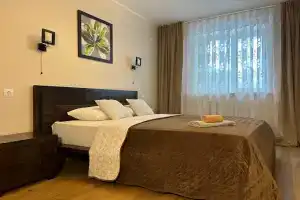 Квартира с дорогим ремонтом и классной мебелью, Воронеж