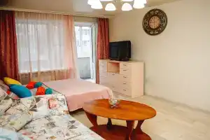 Апартаменты рядом с Кремлём и площади Свободы, Рязань