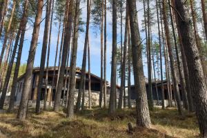 Номер в гостевом доме ранта в сосновом бору 50 м от онежского озера
