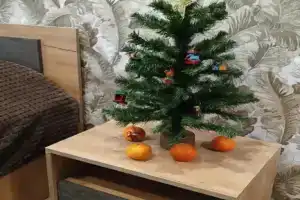 Квартира в центре