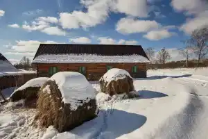 Дуплекс