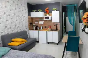 Уютная студия в ЖК Мега, Иркутск