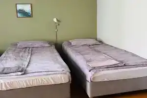 Двухместный номер с 2 отдельными кроватями Комфорт №15, Максимиха