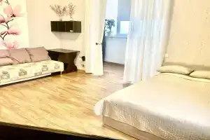 Евро-двухкомнатная в центре с великолепным видом на город