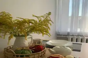Уютная квартира с ремонтом, Торопец