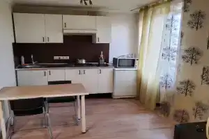 Студия в 1 минуте пешком от метро вднх