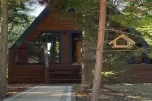 Дом Афрейм с соснами в Красноярском крае