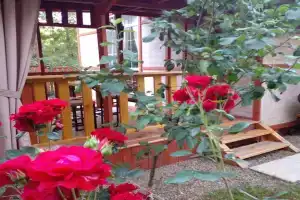 Эко домик для отдыха пары или семьи, Адлер