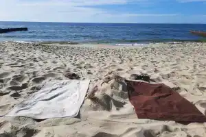 Уютная квартира у моря, Пионерский