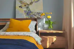 Квартира с оленями, Иркутск