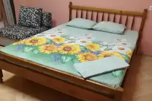 Квартиры посуточно на Владимирской 41