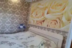 Отдельно стоящий частный дом со всеми удобствами, Адлер