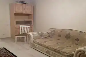 Уютная квартира с видом на пруд с утками, Калининград