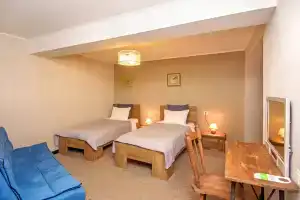 Двухместный номер с 2 отдельными кроватями Twin With Sofa, Тбилиси