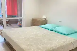 Шикарный вид на можжевельники и сосны