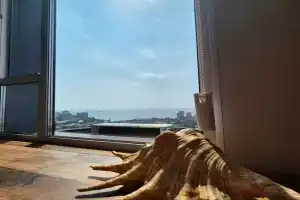 Deepwood, Владивосток