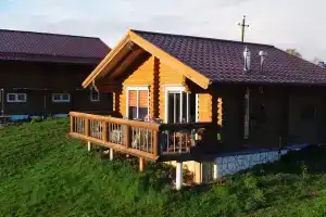 Малый дом в усадьбе Романовская Слобода