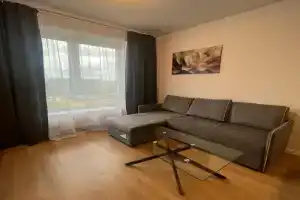 Камфорт, Зеленоград