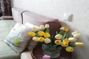 Студия для отдыха на новом городе, Старый Оскол