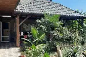 Гостевой домик с видом на пальмы