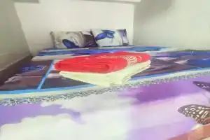 Студия на Купелинке, Сапроново