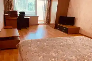 Однушка у первого съезда с Золотого моста, Владивосток