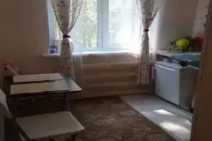 Студия на горе-море, в сосновом лесу