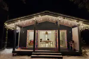 Дом в лесу «Скандинавский шик»