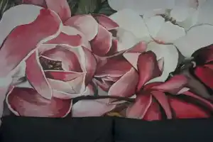 Студия, Адлер