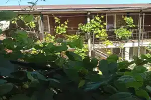 Гостевой дом «Крепость»