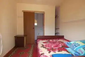 Двухместный номер с 1 кроватью стандарт, Пицунда