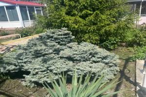 Гостевой дом «Веритас»