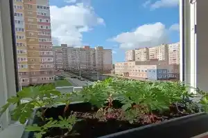 Уютная, светлая, солнечно - тёплая квартира, в самом сердце Юрьевца