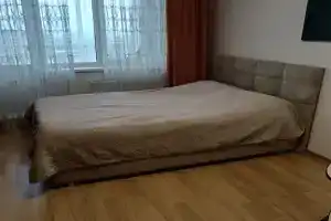 Орхидея, Кемерово