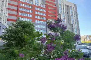 Уютные апартаменты в центре Калининграда