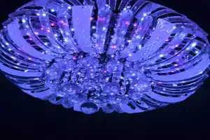 Рядом с хвойным лесом, Воронеж